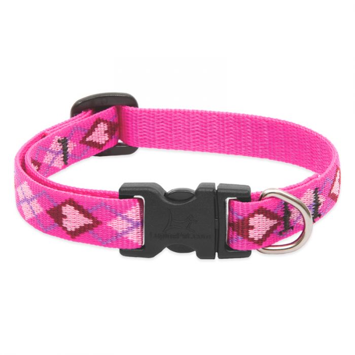 LupinePet Dog Collar: Lifetime Guarantee, Adjustable, & Stylish Designs