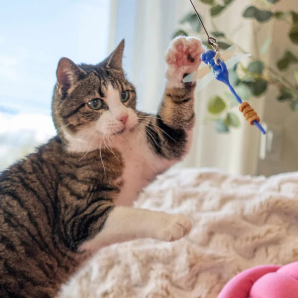 Giddy Kitty Cat Toys and Treats - Premium Interactive Play & Healthy Snacks for Your Barn Cat