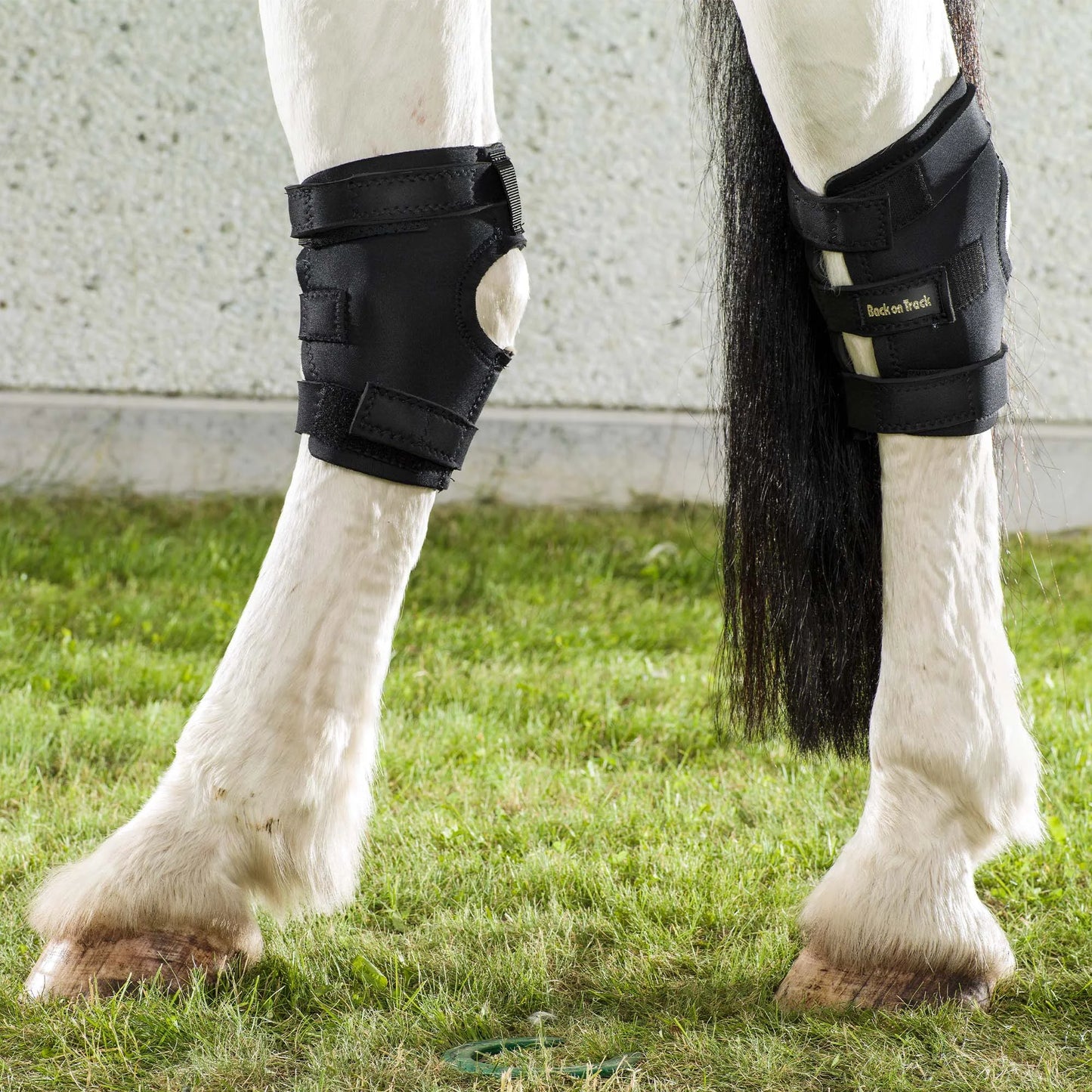 Back On Track Therapeutic Hock Boots with Holes - Black (Pair) - Horse Recovery & Support