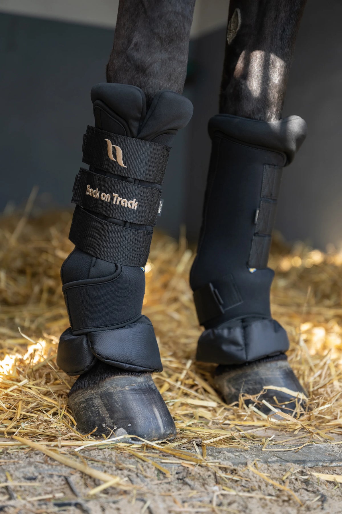 Back On Track Royal Quick Wraps Deluxe - Therapeutic Horse Leg Wraps - Black (Pair)