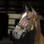 Back On Track Werano Horse Halter with Welltex Therapeutic Technology - Multiple Sizes