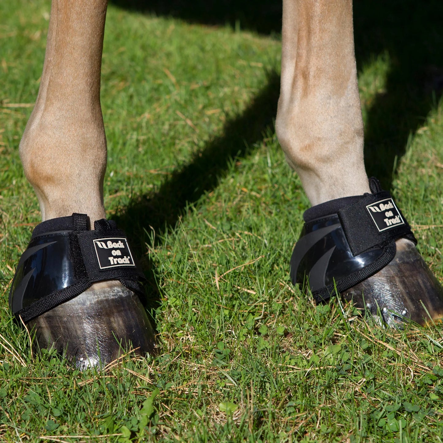 Back On Track Performance Bell Boots - Therapeutic Overreach Protection, Black (Pair) - Multiple Sizes