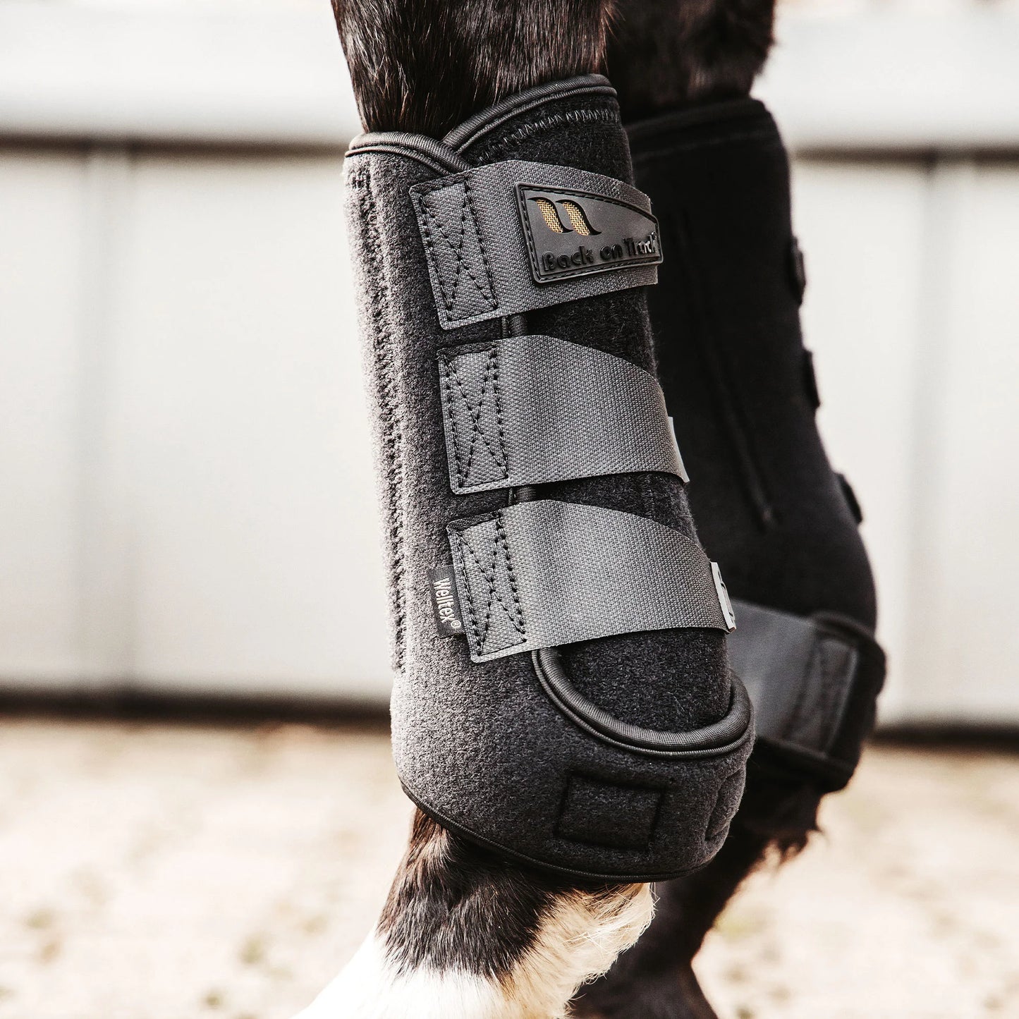 Back On Track Airflow Exercise Boots - Breathable Therapeutic Horse Leg Protection - Black