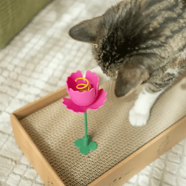 Giddy Kitty Cat Toys and Treats - Premium Interactive Play & Healthy Snacks for Your Barn Cat