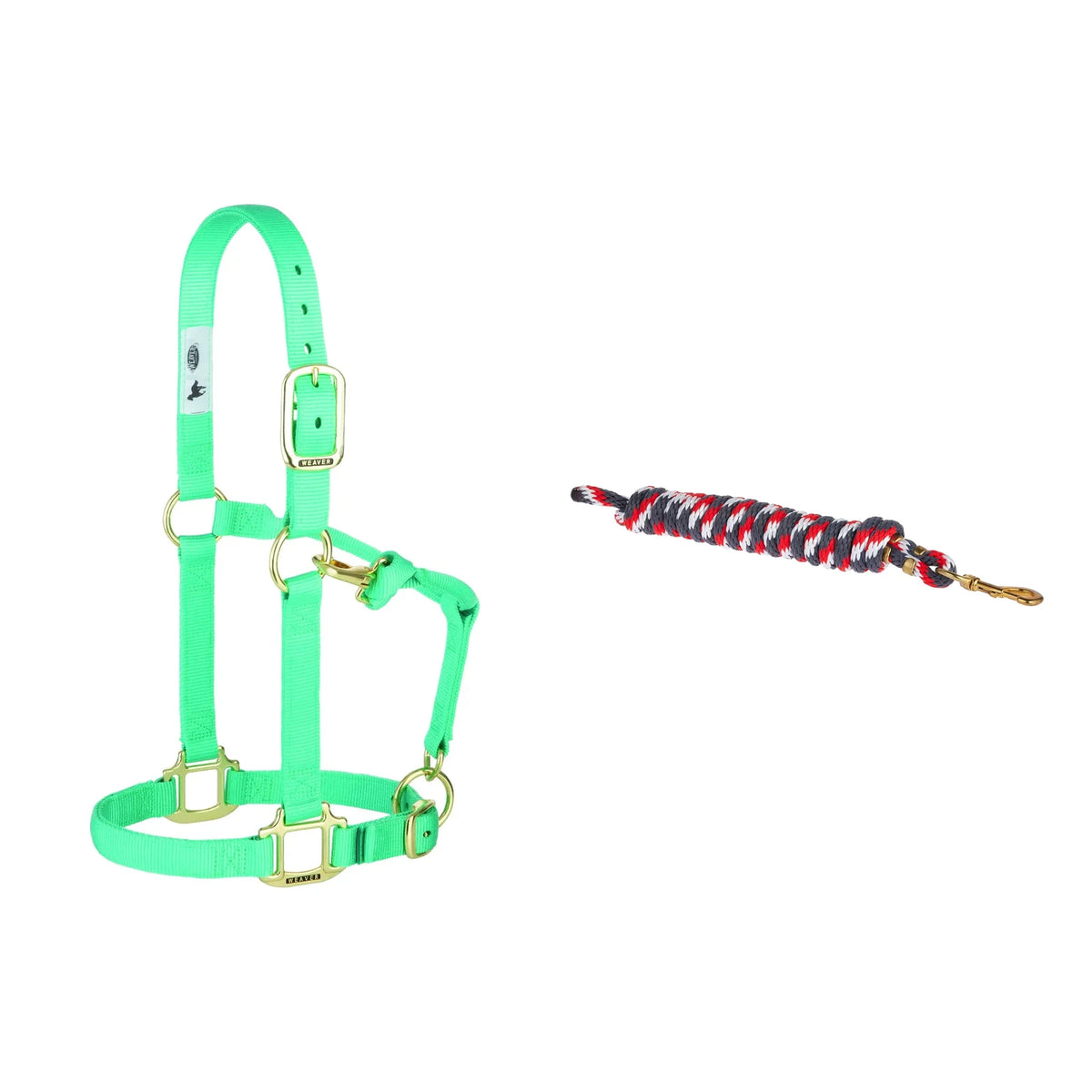 Weaver Leather Halter & Lead Rope Set — Mint - Large Horse