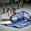 Back On Track Cool on Track Evaporative Cooling Dog Coat - Blue - Multiple Sizes