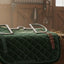 Myler 27PB Stainless Steel English Dee bit with hooks on a green quilted saddle pad, resting on a wooden trunk in a stable.