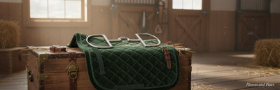 Myler 27PB Stainless Steel English Dee bit with hooks on a green quilted saddle pad, resting on a wooden trunk in a stable.