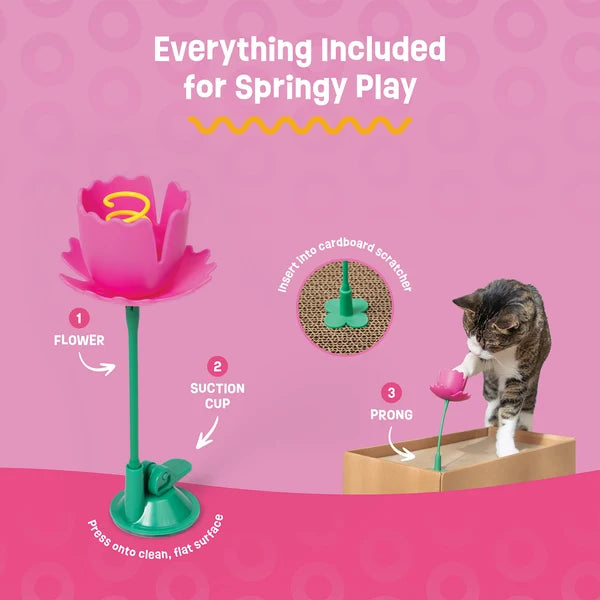 Giddy Kitty Cat Toys and Treats - Premium Interactive Play & Healthy Snacks for Your Barn Cat