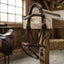 Lifestyle photo of Shires Avignon Louisville Bridle - Premium Leather English Equestrian Horse Tack