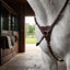 Lifestyle photo of Shires Avignon Three Point Breastplate - Premium Leather Adjustable Equestrian Horse Breastplate