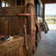 Lifestyle photo of Professional's Choice Double Adjusted Buckle Headstall - 10.5" Cheek Piece