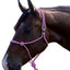 Professional's Choice Easy ON Rope Halter: Quick & Durable