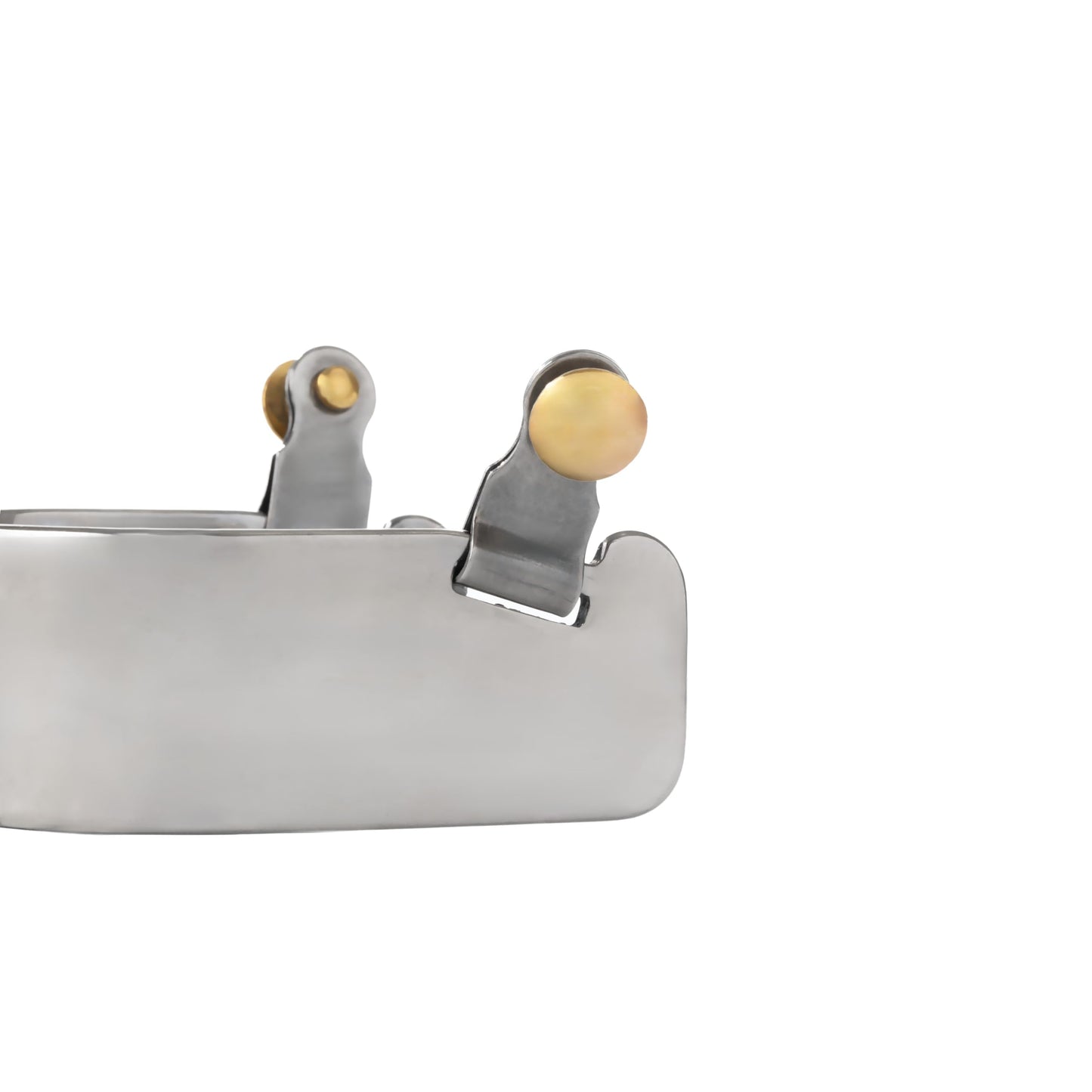 Weaver Stainless Steel Spurs - 2-3/4" Shank, 10 Point Rowel