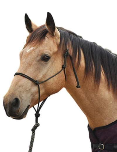 CLASSIC EQUINE Premium Rope Halter - Hooves and Paws