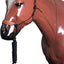 Classic Equine 1210401 Martin Rope Halter w/Leather Nose (Sell out)