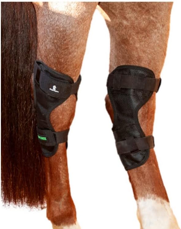 Classic Equine MagNTX Hock Wrap - Hooves and Paws
