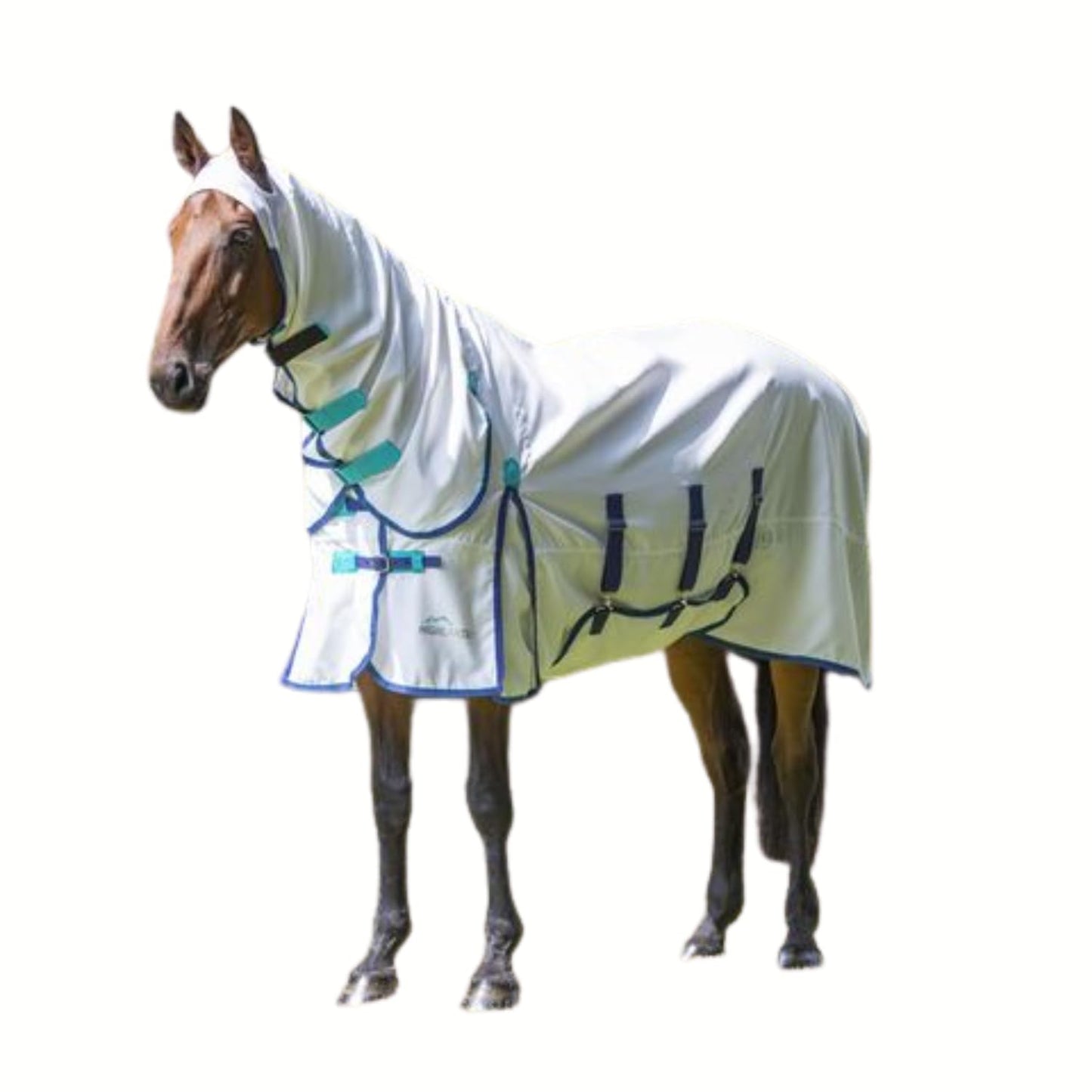 Shires Highlander Plus Sweet Itch Combo - Midge-Proof 600D
