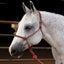 Professional's Choice Easy ON Rope Halter: Quick & Durable