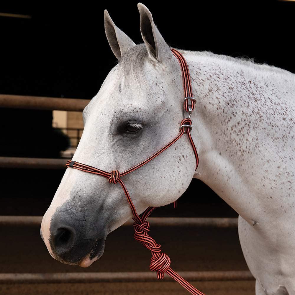 Professional's Choice Easy ON Rope Halter: Quick & Durable