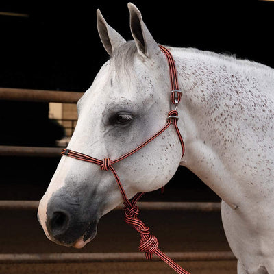 Professional's Choice Easy ON Rope Halter: Quick & Durable