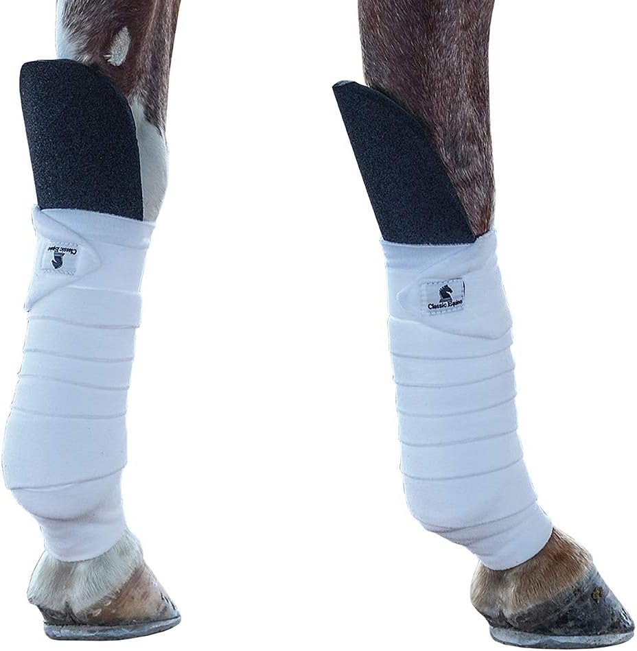 Classic Equine Knee Guard, Black - Hooves and Paws