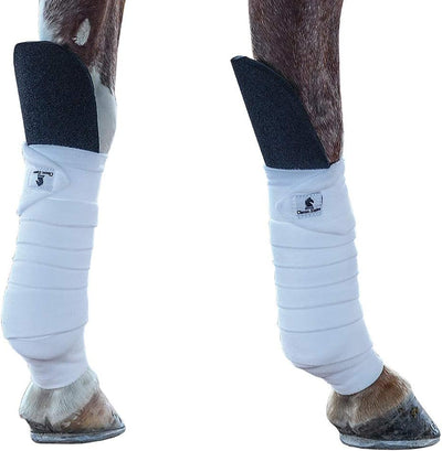 Classic Equine Knee Guard, Black - Hooves and Paws