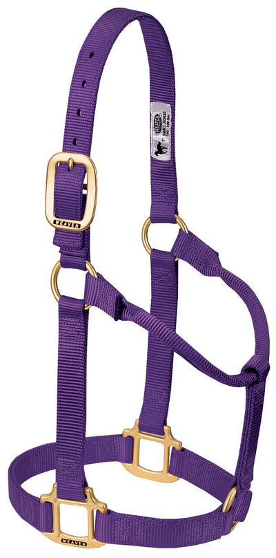 Weaver Equine Horse Halter: Comfort, Durability & Perfect Fit for Your Horse