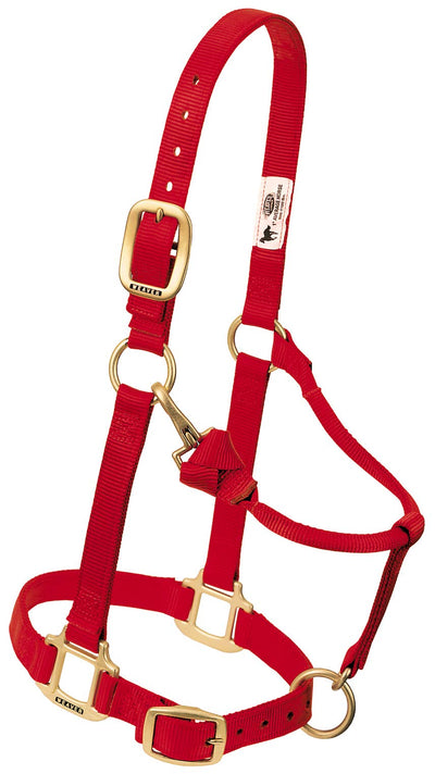 Weaver Leather Horse Halter: Adjustable Nylon for Comfort & Durability