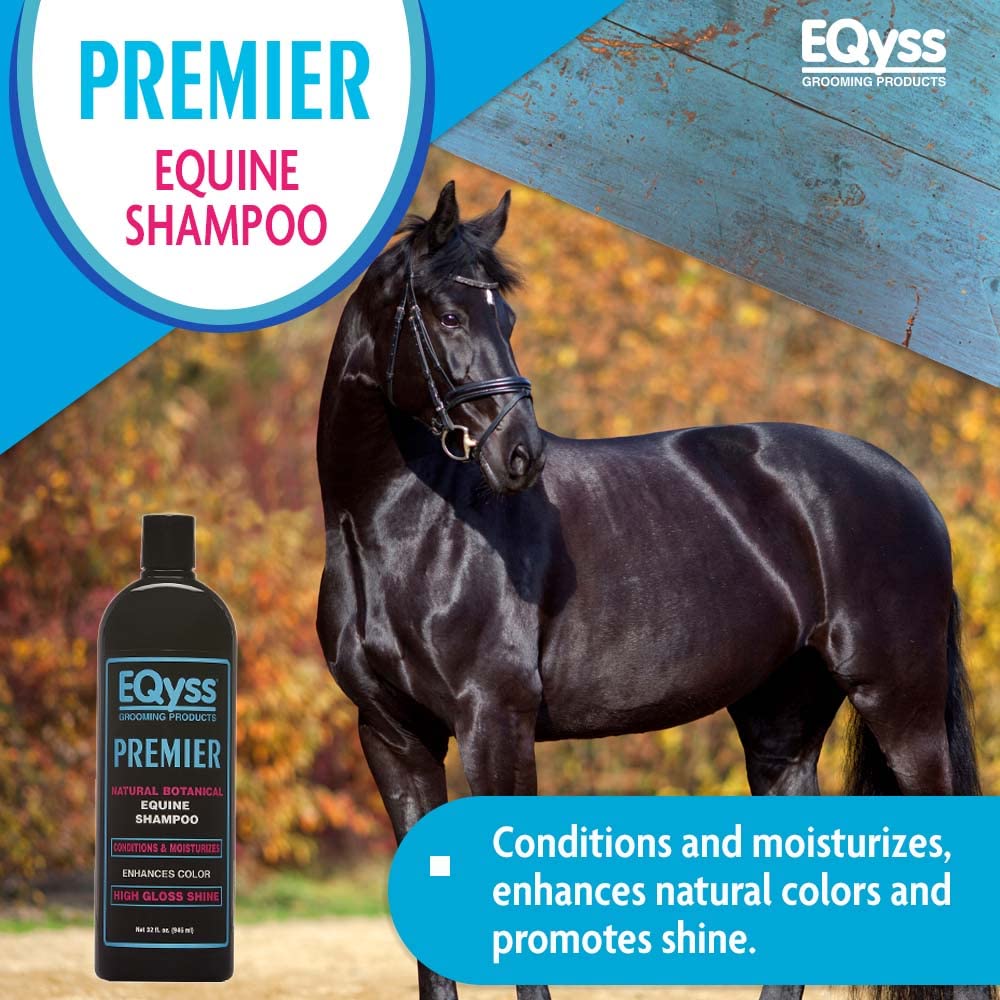 Eqyss Premier Shampoo – Salon-Grade Color Enhancing Formula