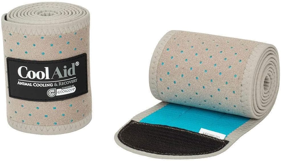 Weaver Equine CoolAid Equine Icing and Cooling Turquoise Large Polo Wraps