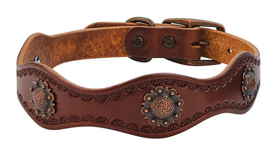 Weaver Leather Sundance Dog Collar: Stylish & Durable for Your Pup