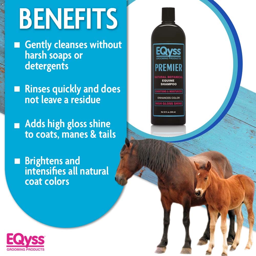 Eqyss Premier Shampoo – Salon-Grade Color Enhancing Formula