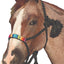 Professional's Choice Braided Rope Cowboy Halter with Lead - Comfortable Flat Nose Design