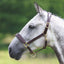 Shires Velociti GARA Blenheim Padded Leather Halter - Brass