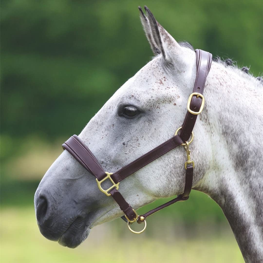 Shires Velociti GARA Blenheim Padded Leather Halter - Brass
