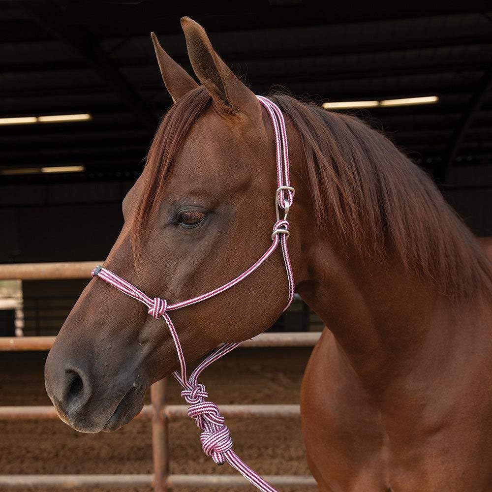 Professional's Choice Easy ON Rope Halter: Quick & Durable