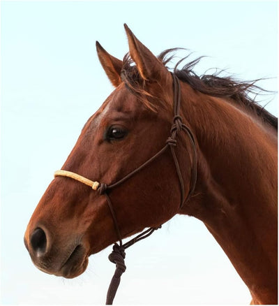 Classic Equine Braided Rawhide Noseband Rope Halter with Lead - Durable Nylon Horse Halter