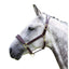 Shires Velociti GARA Blenheim Padded Leather Halter - Brass