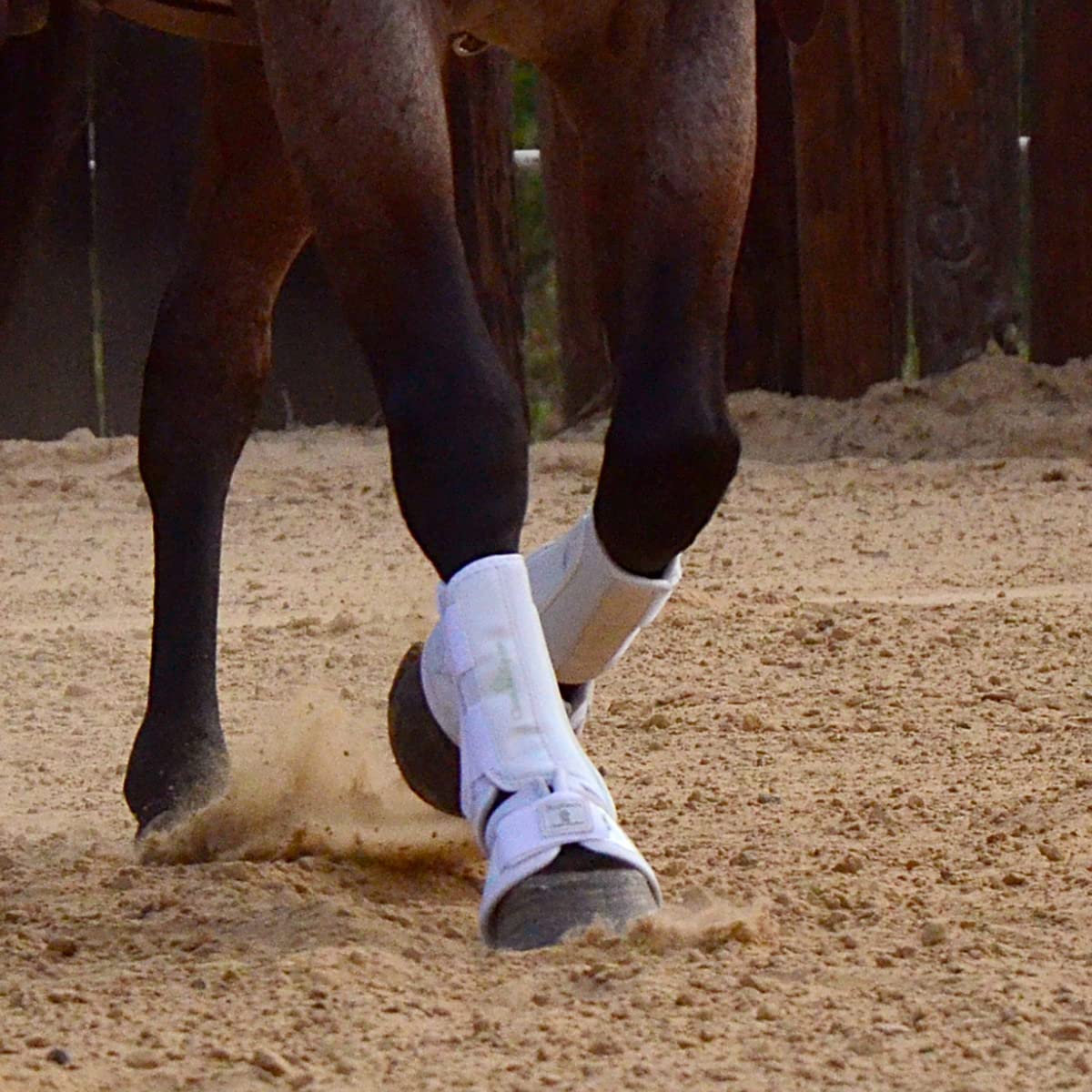 Classic Equine ProTech Splint Pad and Tendon Guard Horse Boots - Neoprene Impact Protection - Multiple Sizes