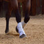 Classic Equine ProTech Splint Pad and Tendon Guard Horse Boots - Neoprene Impact Protection - Multiple Sizes