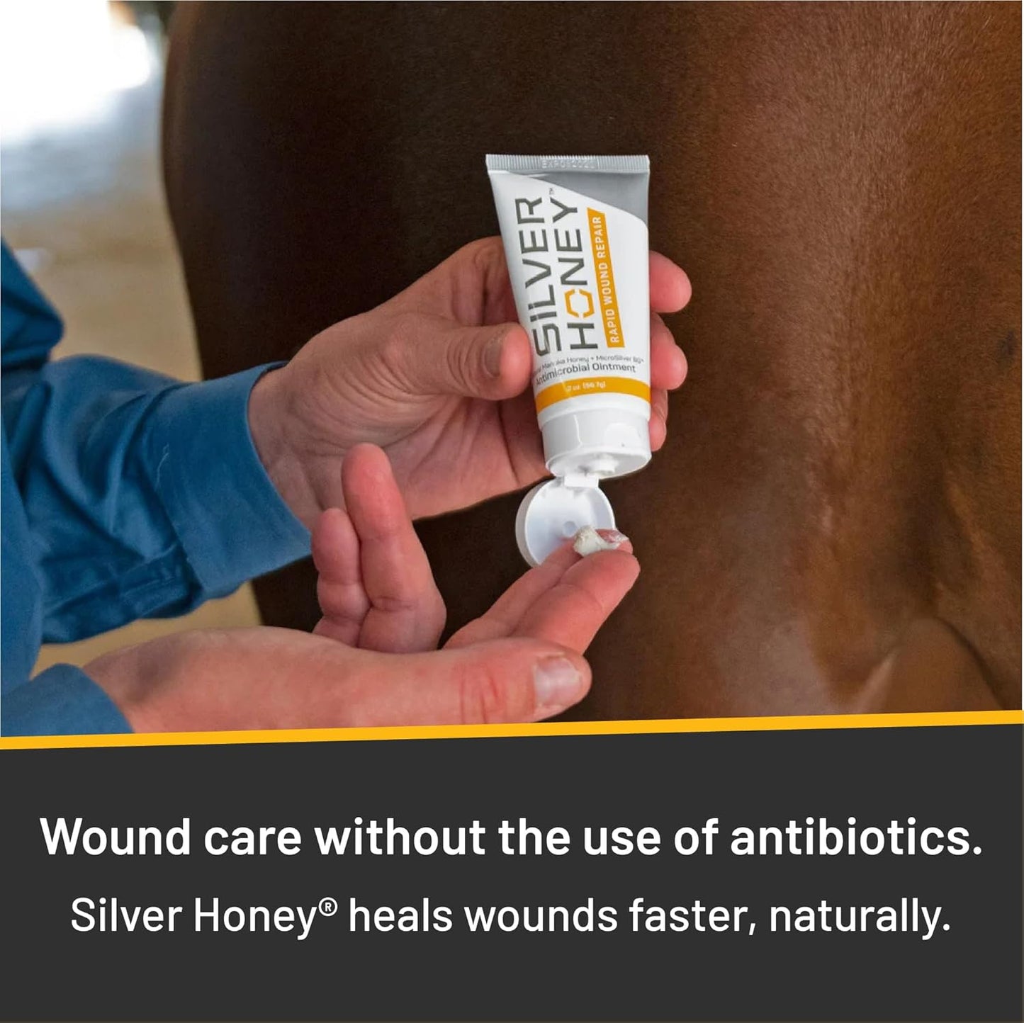 Absorbine Silver Honey Rapid Wound Repair Ointment 2oz