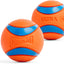Chuckit! Ultra Ball Dog Toy, Durable Rubber, Medium 2.5-in, 2 Pack (Sell out)