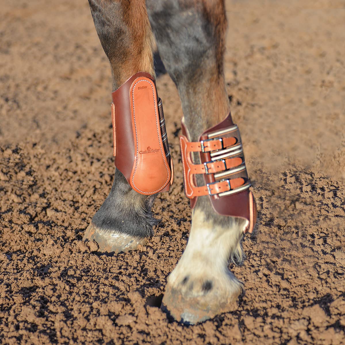 Classic Leather Splint Boots - Hooves and Paws
