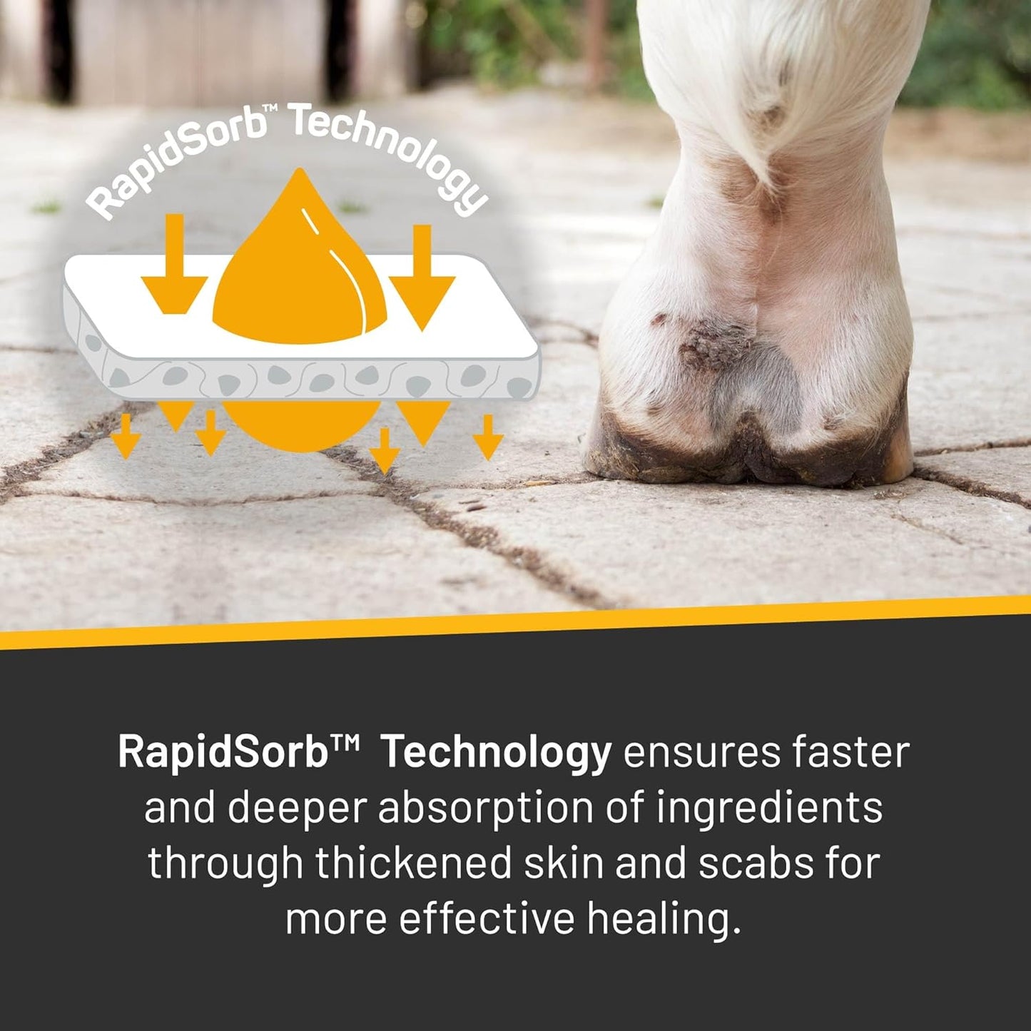 Absorbine Silver Honey Scratches Spray with RapidSorb Technology