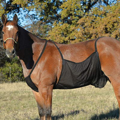 Cashel Fly Sheet Belly Guard: Ultimate Fly Protection for Horses