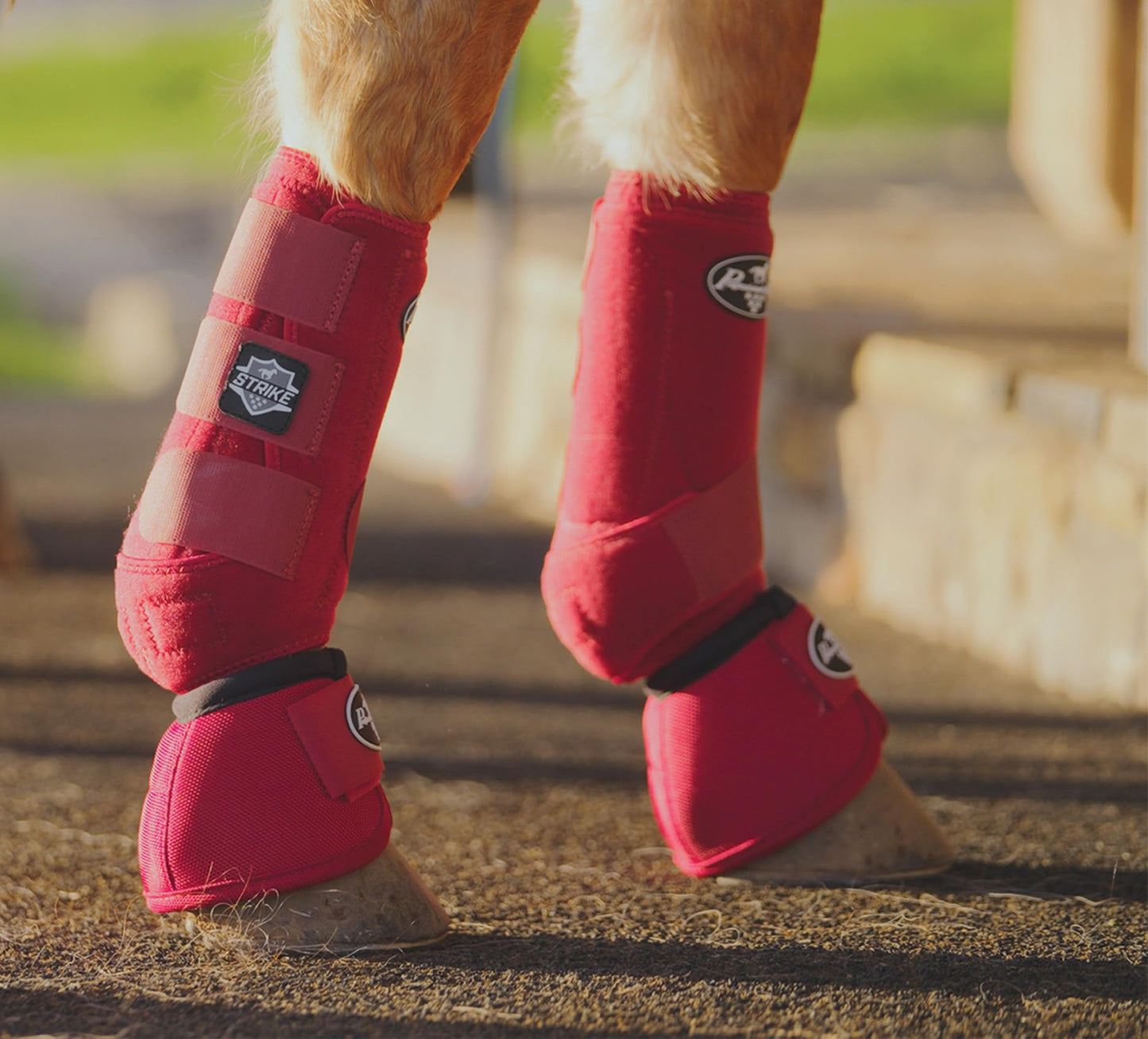 Professional's Choice Strike Front Sports Medicine Horse Boots - Brrr Cooling & TPU Impact Protection - Multiple Sizes