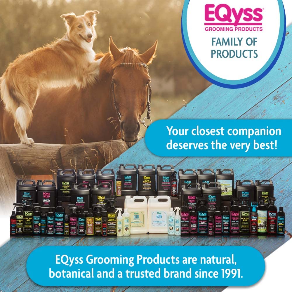 Eqyss Premier Shampoo – Salon-Grade Color Enhancing Formula