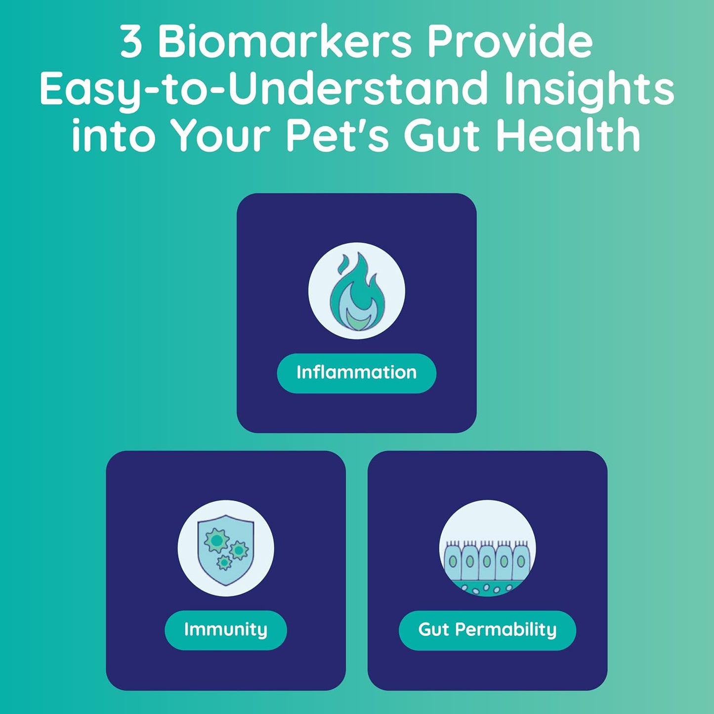 Gut Test Kit – Non-Invasive & Fast Results - Vet Trusted - Easy at-Home Stool Test