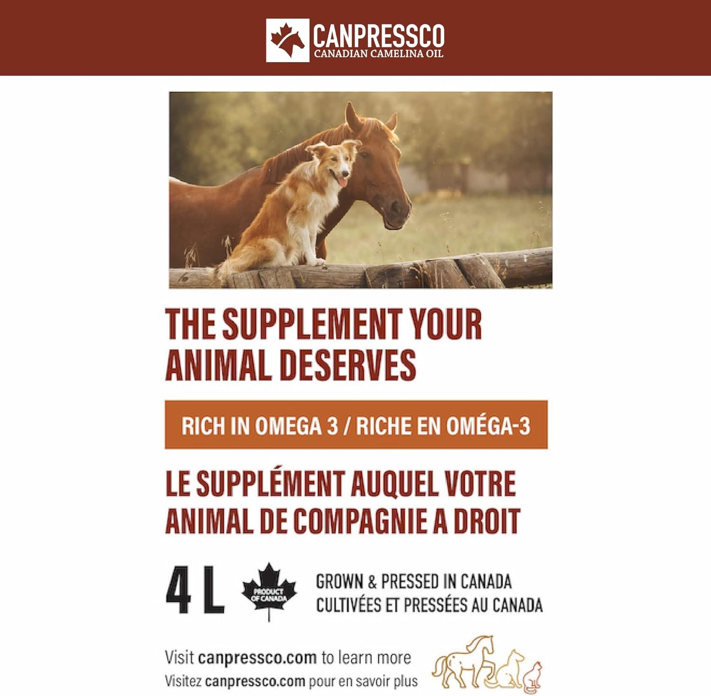 Camelina Oil 4 L Jug with Dispensing Pump | Oil for Equine, Canine and Feline Joint, Coat and Skin Health - Hooves and Paws